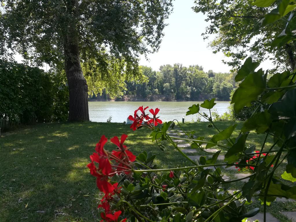Tiszavirag Nyaralohaz Villa Seghedin Exterior foto